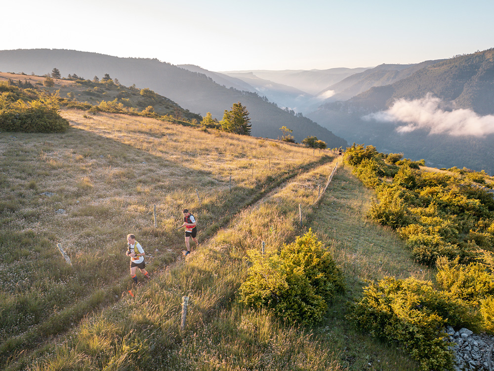 You are currently viewing 📸 Lozère Trail – 2026